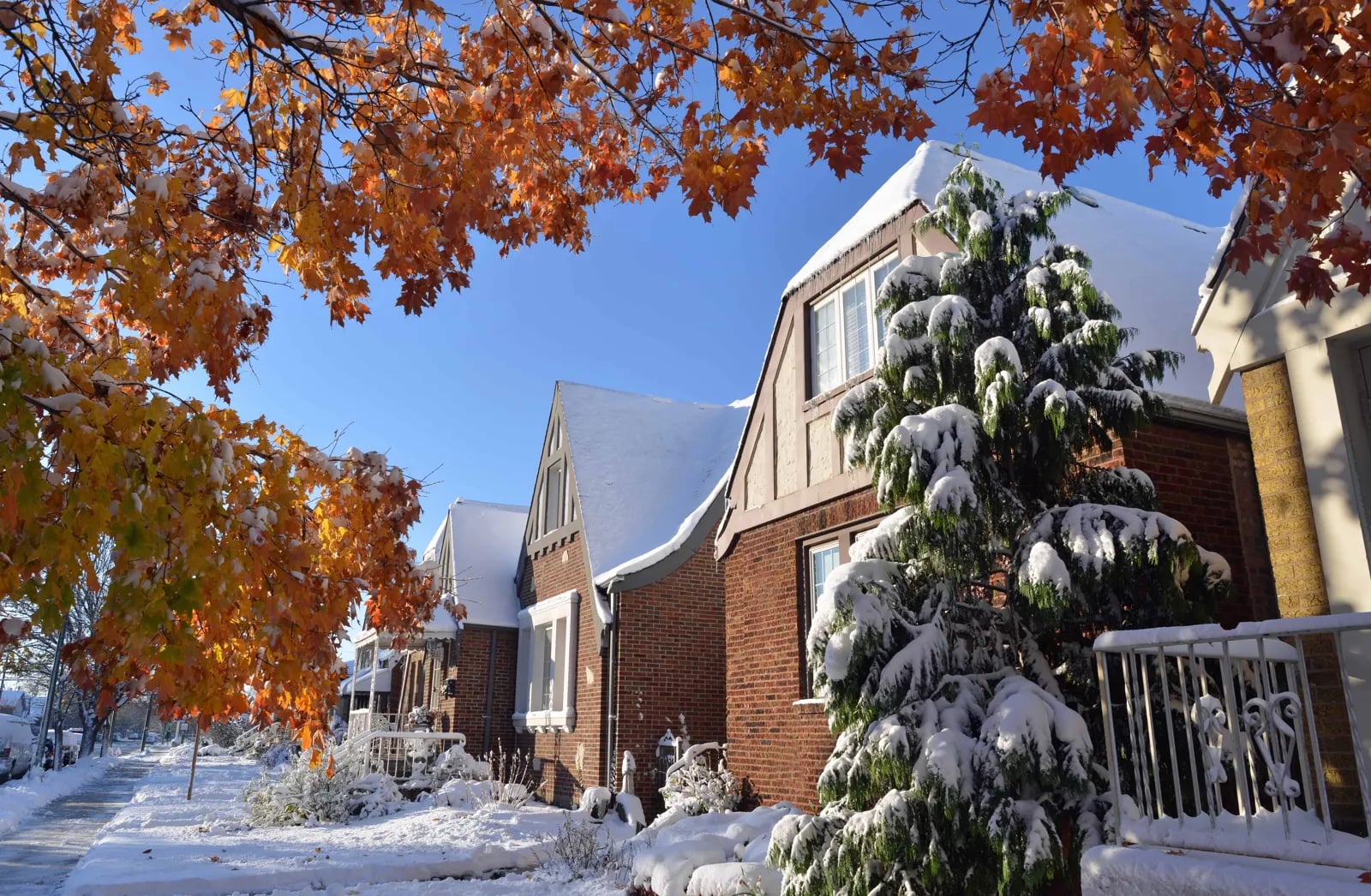 Brick houses with fresh snow on the roofs and orange autumn leaves on the trees